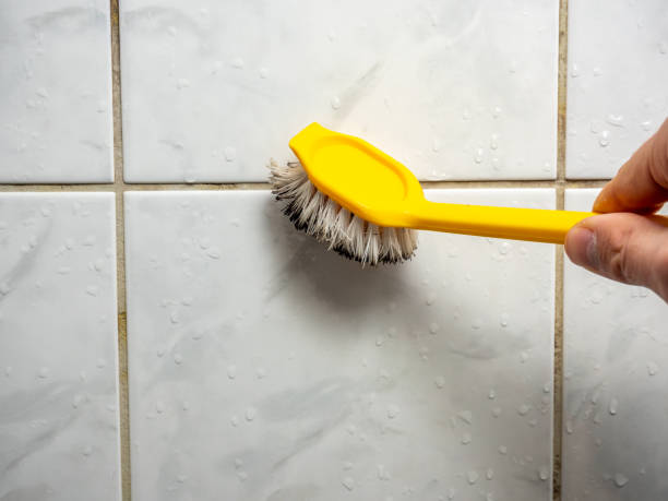 Best Mold Remediation  in Shafter, CA