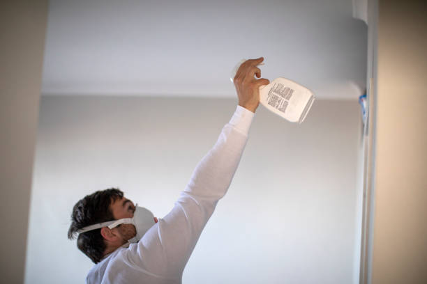 Best Residential Mold Removal  in Shafter, CA