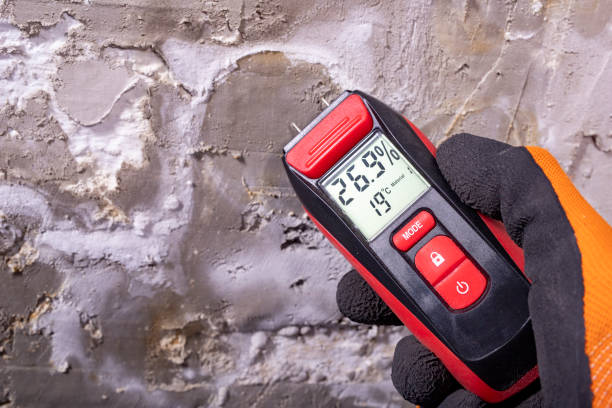 Best Mold Removal Near Me  in Shafter, CA