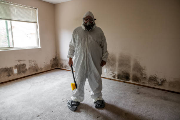 Best Professional Mold Removal  in Shafter, CA